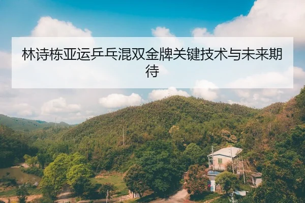 林诗栋亚运乒乓混双金牌关键技术与未来期待（hahasports）